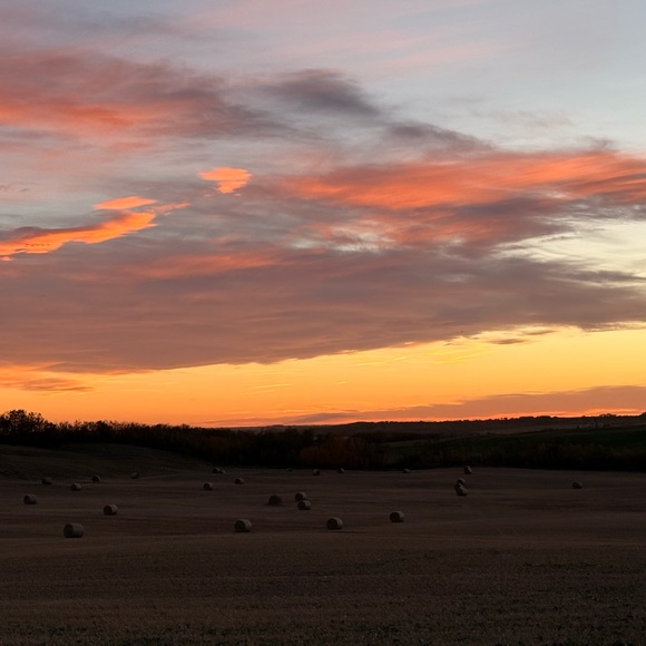 Meet your Posher, Raigan - Picture 1 of 1